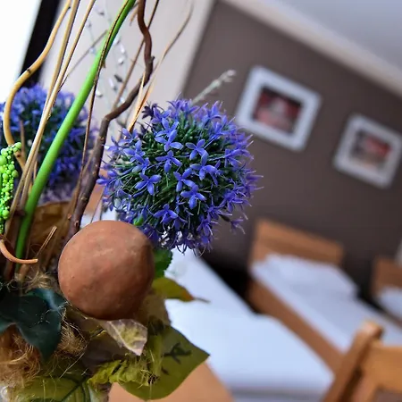 Milkaza Hostel Nowy Sad